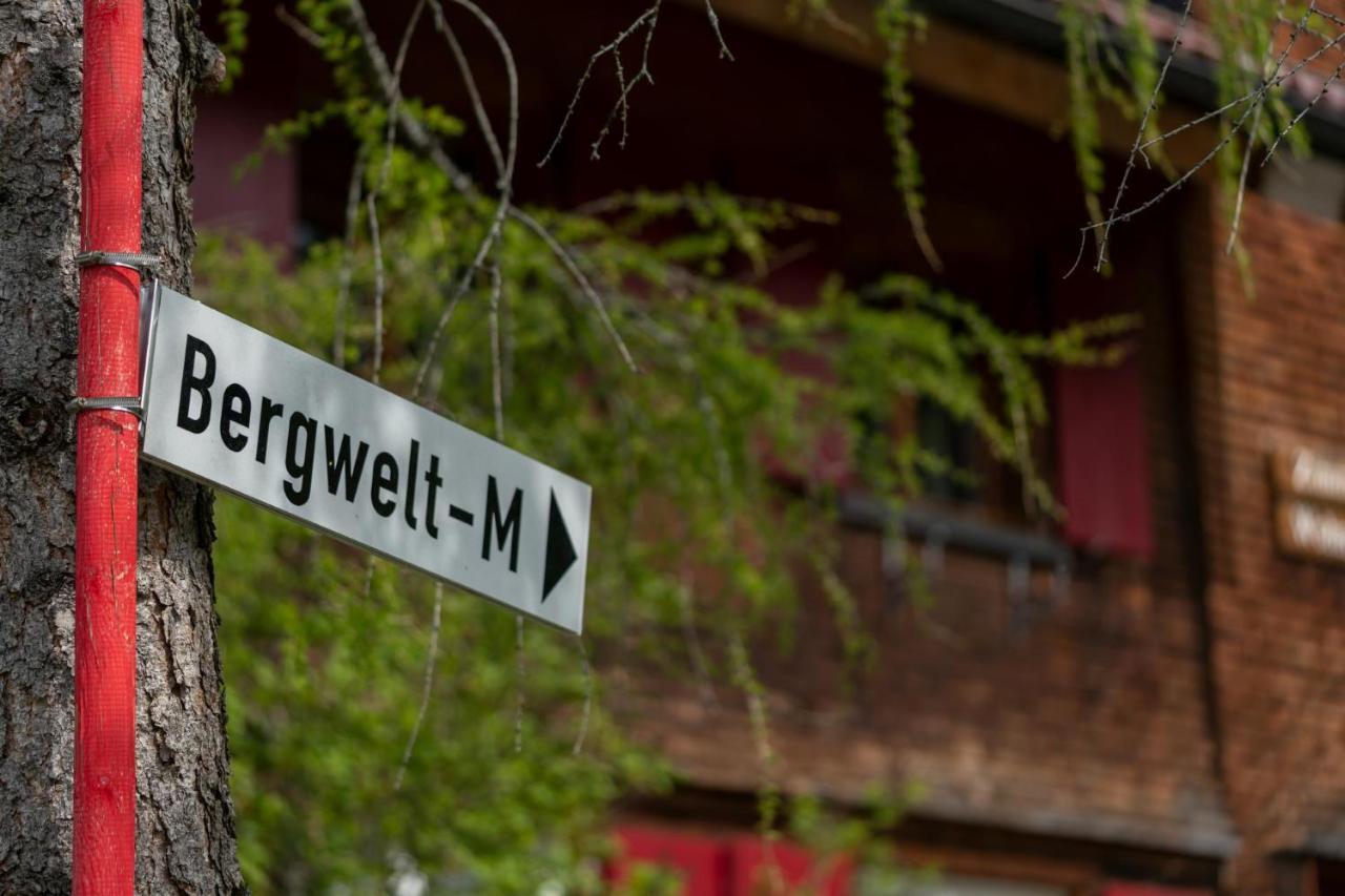 Bergwelt-m Schröcken